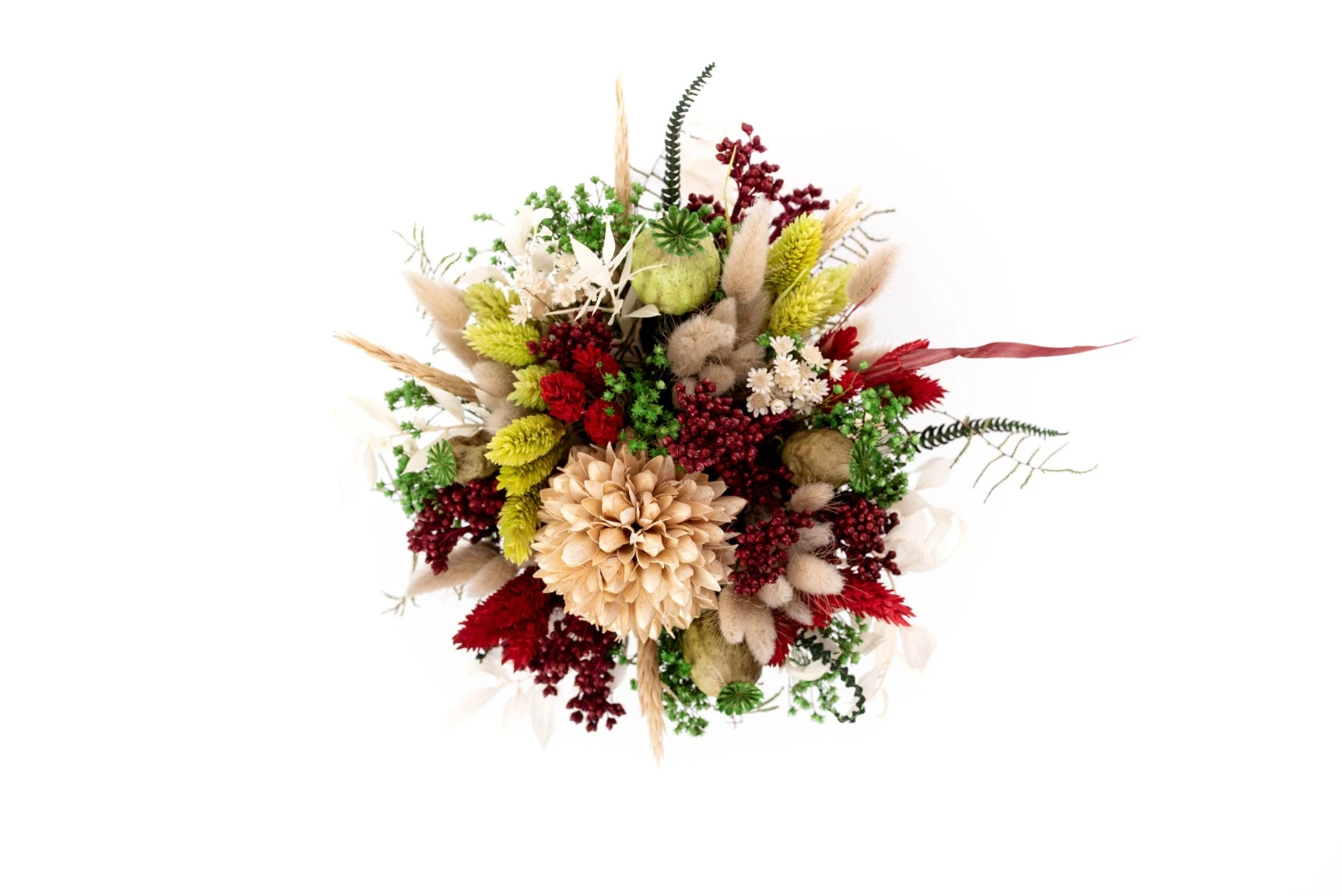 Arara