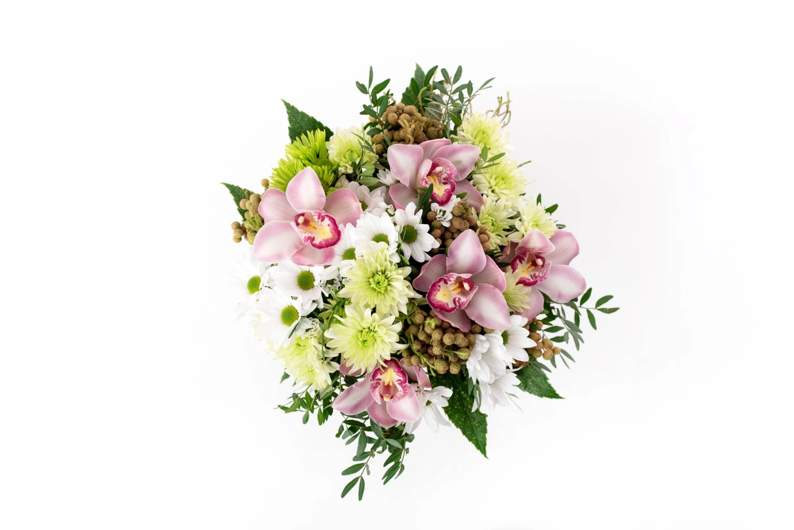 Flora
